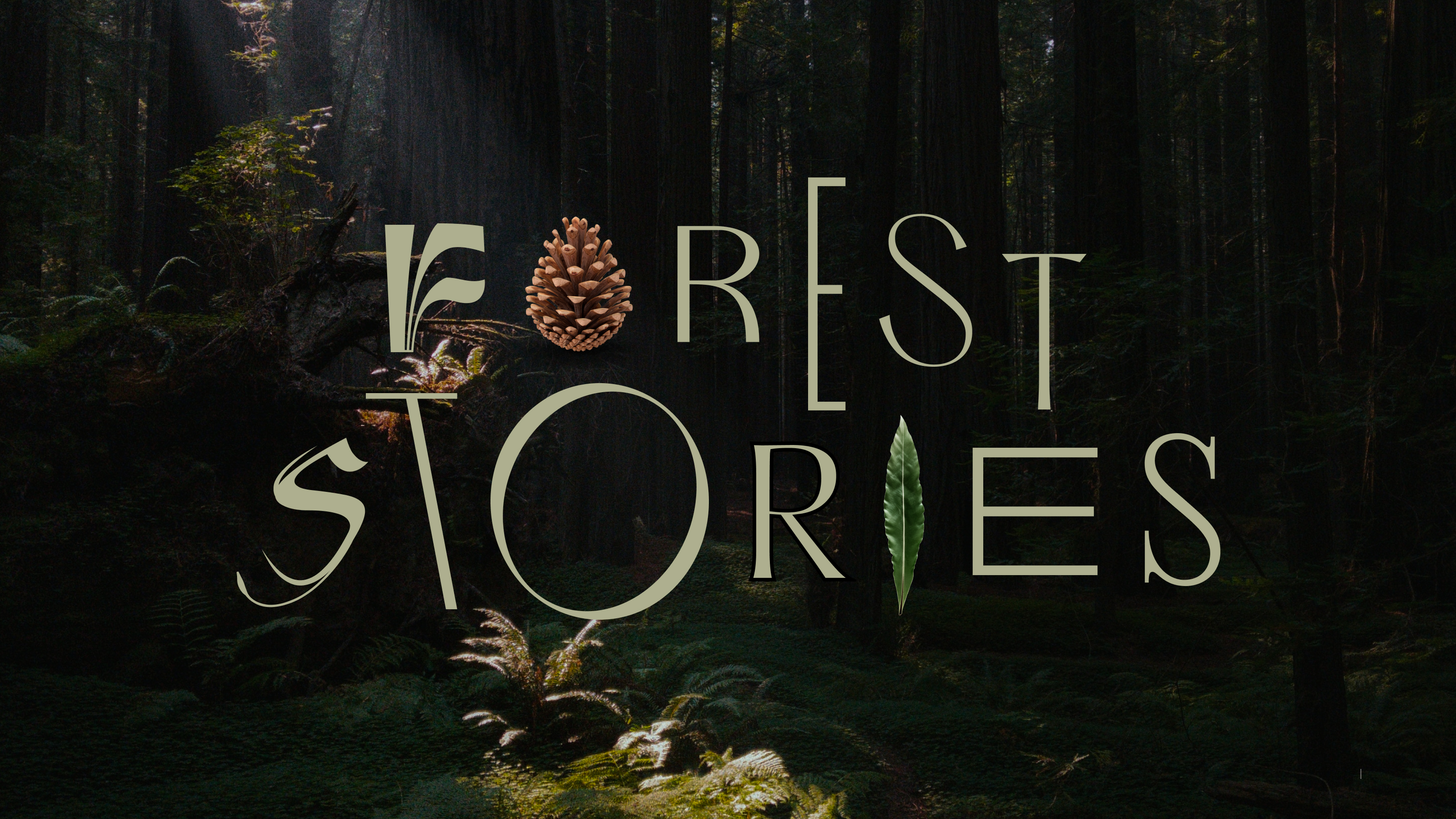 Forest Stories — Introducing