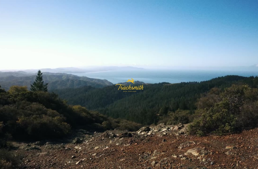 Eff Roids Off Roads '24