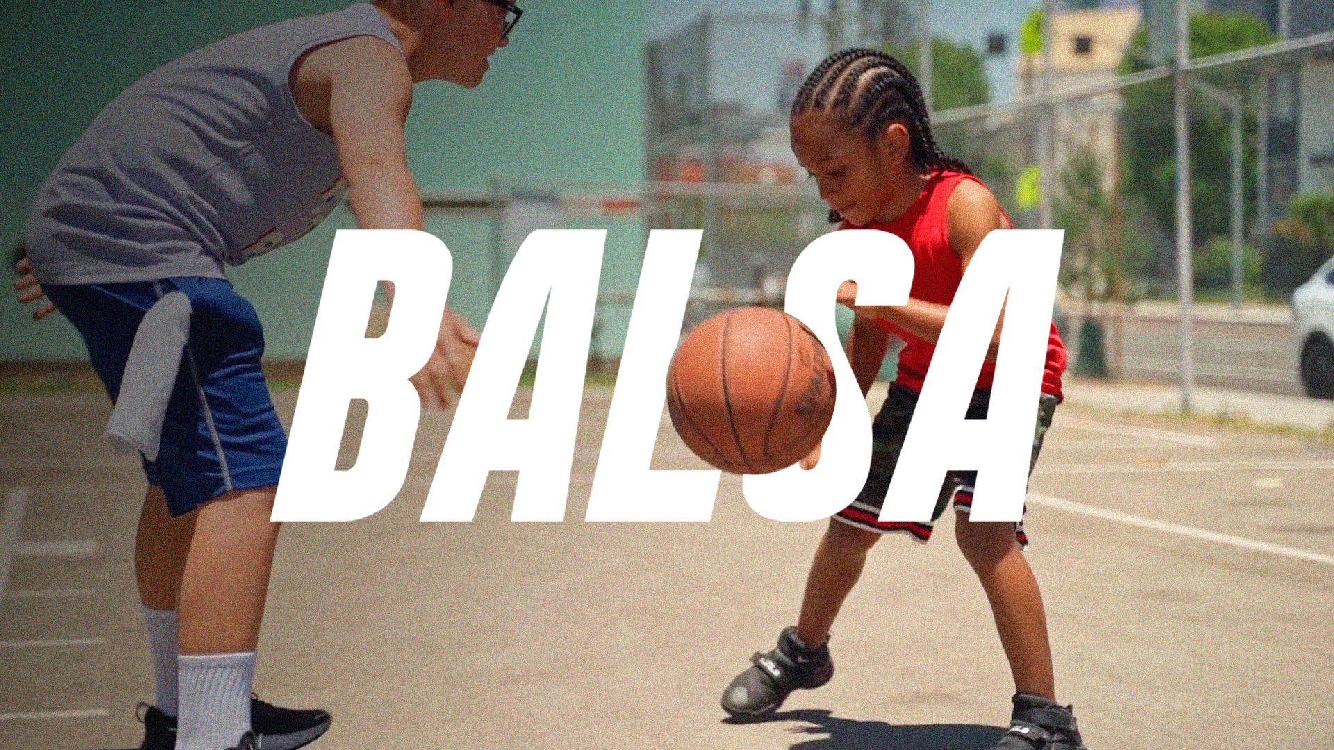 Welcome to BALSA's Website
