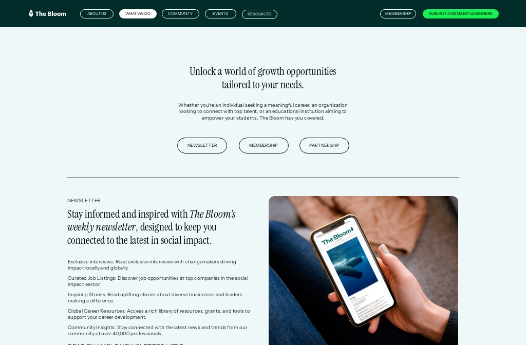 The Bloom — What we do