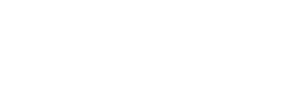 Adaptive Pallet Solutions logo