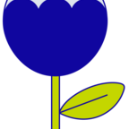 pricilaquinones.com favicon